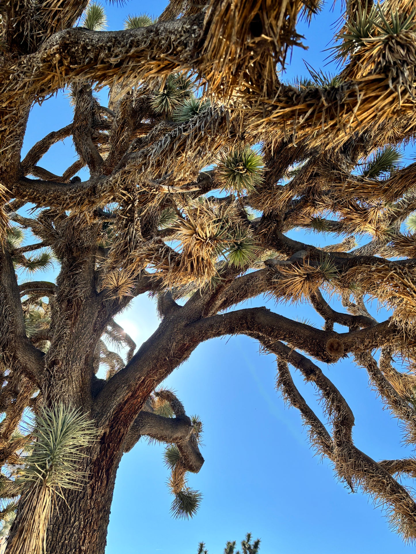 Recalibration Retreat: Return to the Heart
