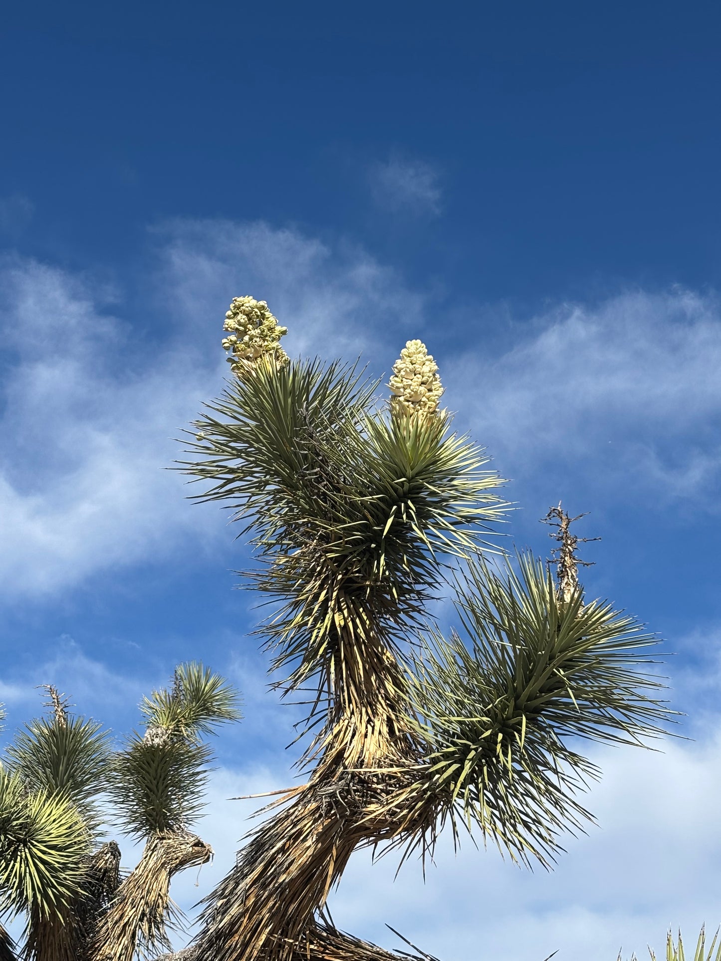 Recalibration Retreat: Return to the Heart