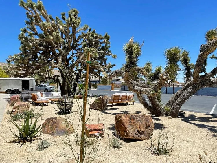 Recalibration Retreat at Yucca Shala, CA  March 5-March 9, 2026