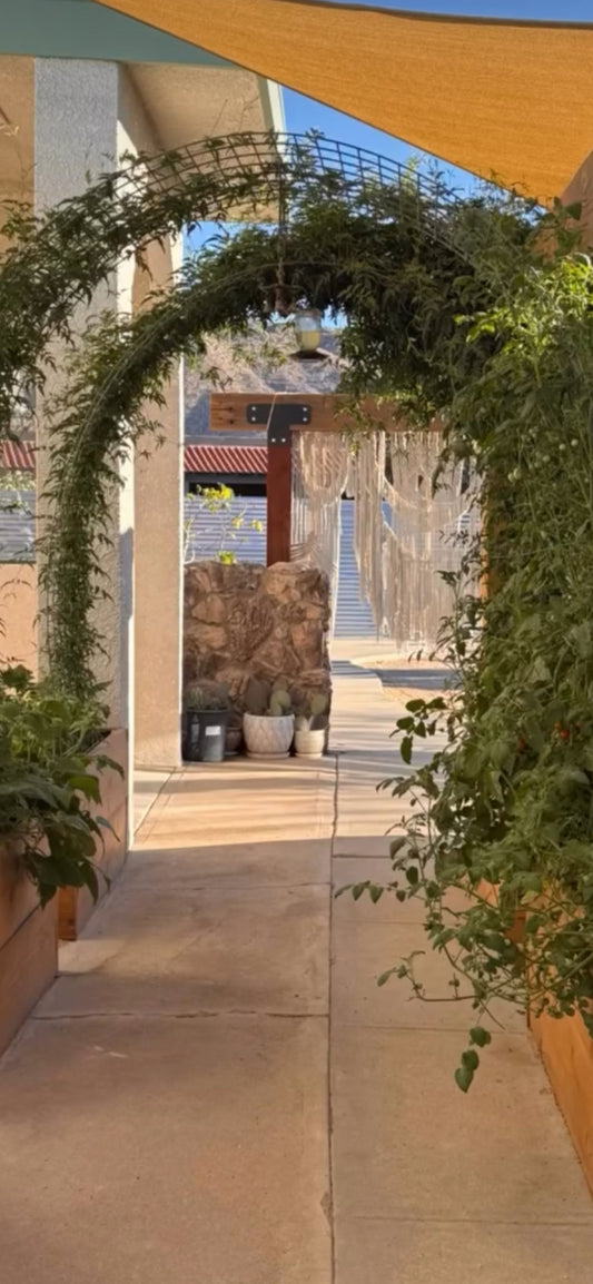 Recalibration Retreat at Yucca Shala, CA  March 5-March 9, 2026