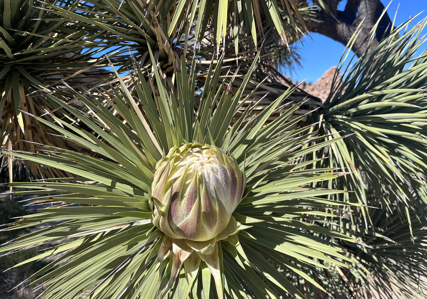 Recalibration Retreat: Return to the Heart