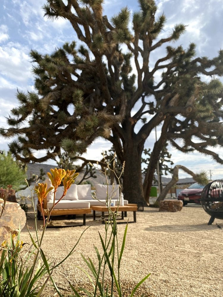 Recalibration Retreat at Yucca Shala, CA  March 5-March 9, 2026